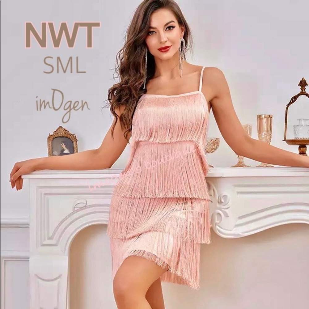 NWT blush pink tassel dress silky fringe deep V gatsby salsa light pink S M L